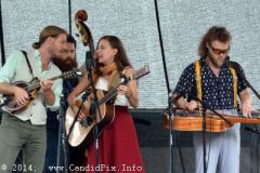 Charlotte BluegrassFestival