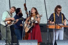 Charlotte BluegrassFestival