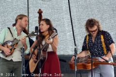 Charlotte BluegrassFestival