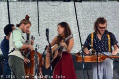 Charlotte BluegrassFestival
