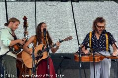 Charlotte BluegrassFestival