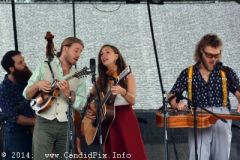 Charlotte BluegrassFestival
