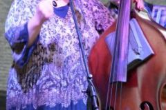 Charlotte BluegrassFestival