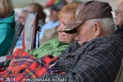 Charlotte BluegrassFestival