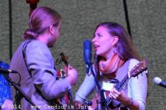 Charlotte BluegrassFestival