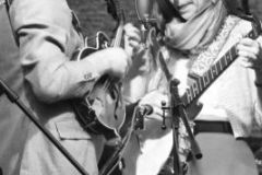 Charlotte BluegrassFestival