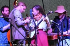 Charlotte BluegrassFestival
