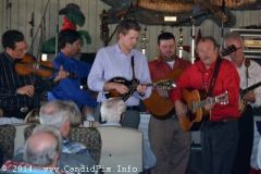 Palatka Bluegrass Festival February 2014