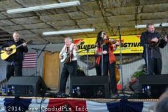 Palatka Bluegrass Festival February 2014