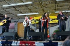 Palatka Bluegrass Festival February 2014