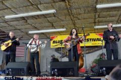 Palatka Bluegrass Festival February 2014