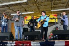 Palatka Bluegrass Festival February 2014