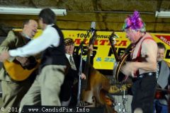 Palatka Bluegrass Festival February 2014