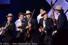 IBMA WOB 14