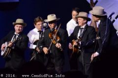 IBMA WOB 14