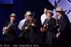 IBMA WOB 14