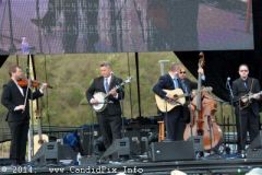 IBMA WOB 14