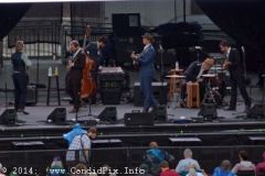 IBMA WOB 14