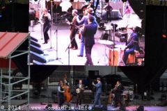 IBMA WOB 14