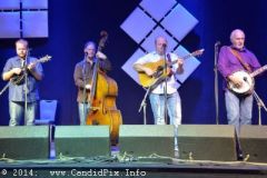IBMA WOB 14