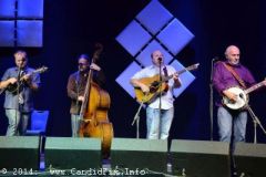 IBMA WOB 14
