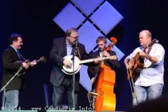 IBMA WOB 14