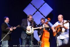 IBMA WOB 14