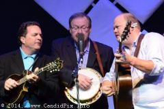 IBMA WOB 14