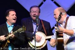 IBMA WOB 14
