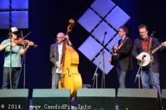 IBMA WOB 14