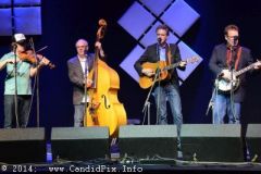 IBMA WOB 14