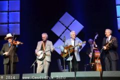 IBMA WOB 14