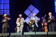 IBMA WOB 14