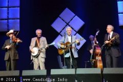 IBMA WOB 14