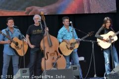 IBMA WOB 14