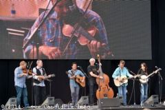 IBMA WOB 14