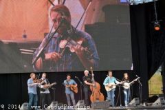 IBMA WOB 14