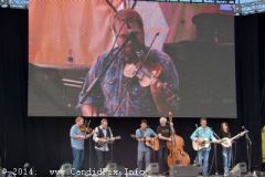 IBMA WOB 14