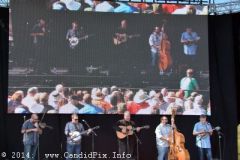 IBMA WOB 14