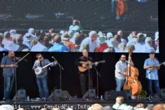 IBMA WOB 14
