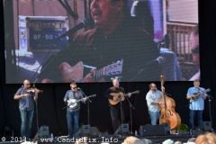 IBMA WOB 14