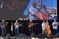 IBMA WOB 14