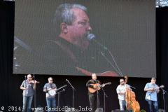 IBMA WOB 14