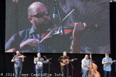 IBMA WOB 14