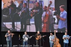 IBMA WOB 14