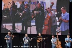 IBMA WOB 14
