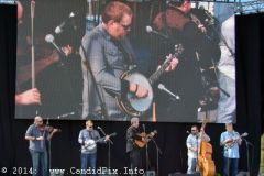 IBMA WOB 14