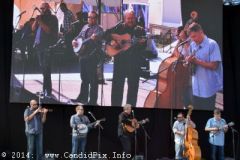 IBMA WOB 14