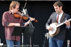 IBMA WOB 14
