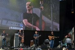 IBMA WOB 14